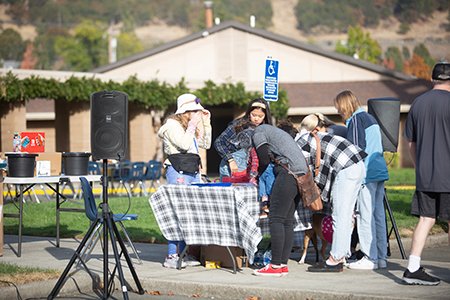 Treat Ln7a3026 Registration