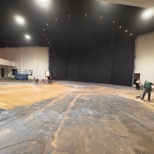 58 painting clearing