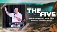 Sunday: The Promise of New Life